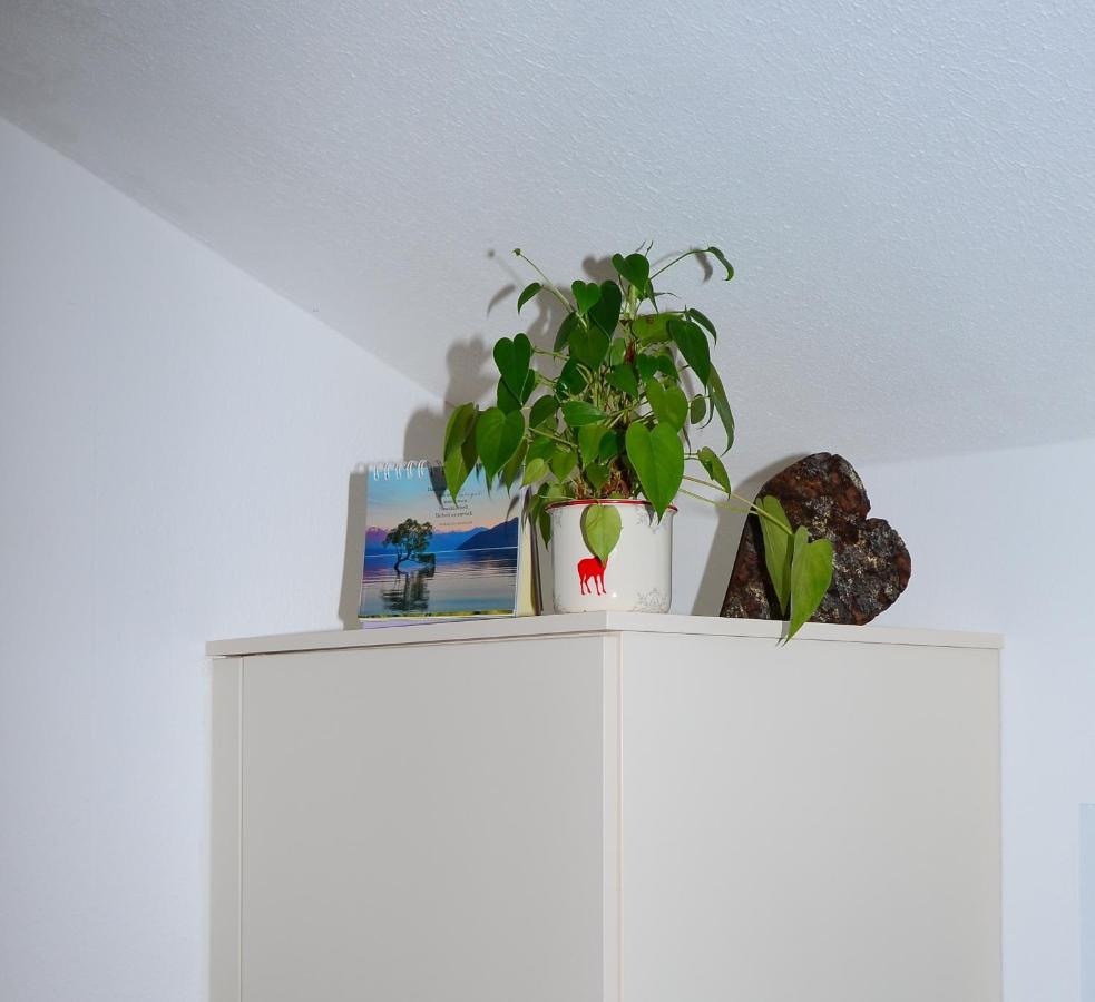 Haus Jakob Filzmoos Exteriör bild