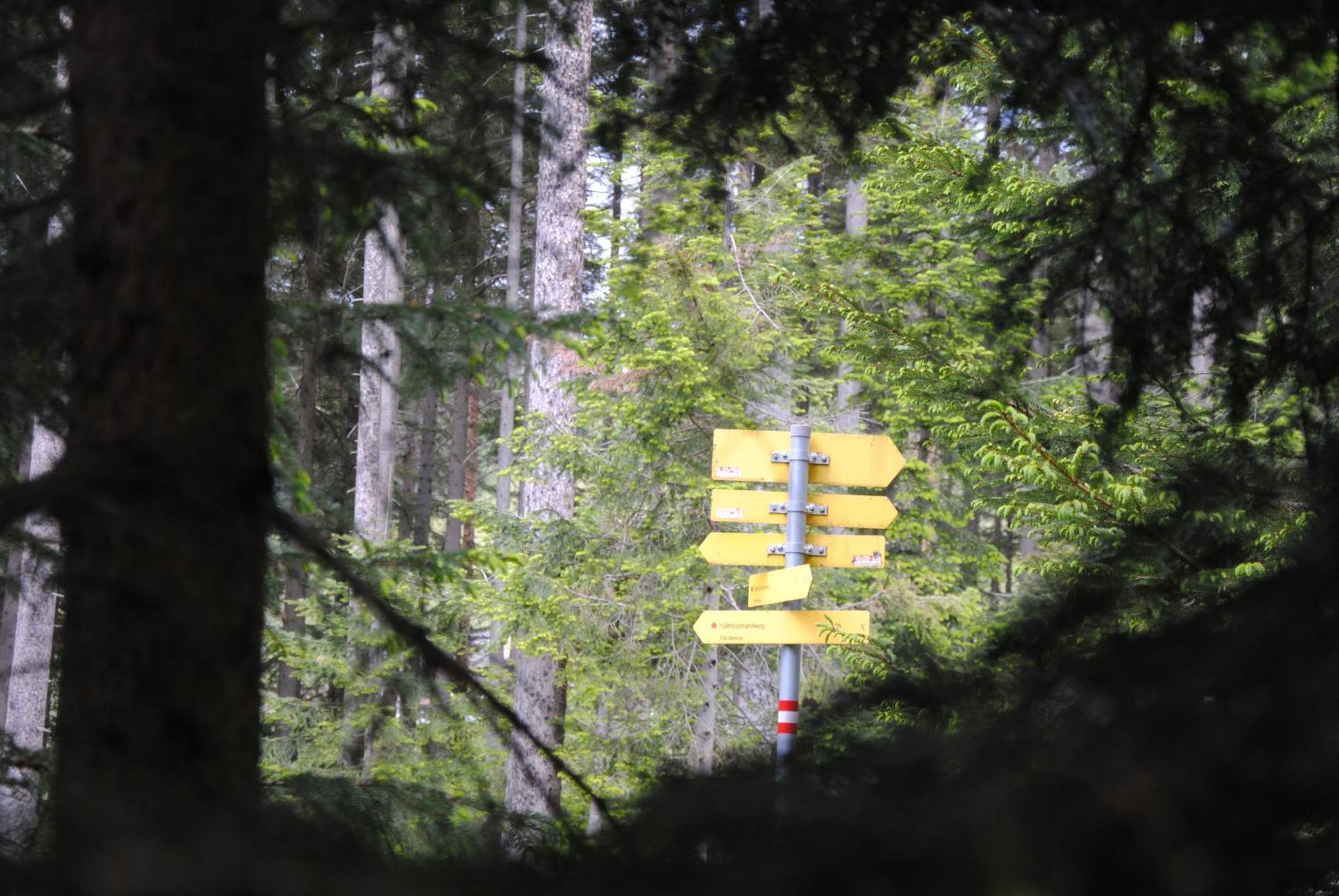 Haus Jakob Filzmoos Exteriör bild