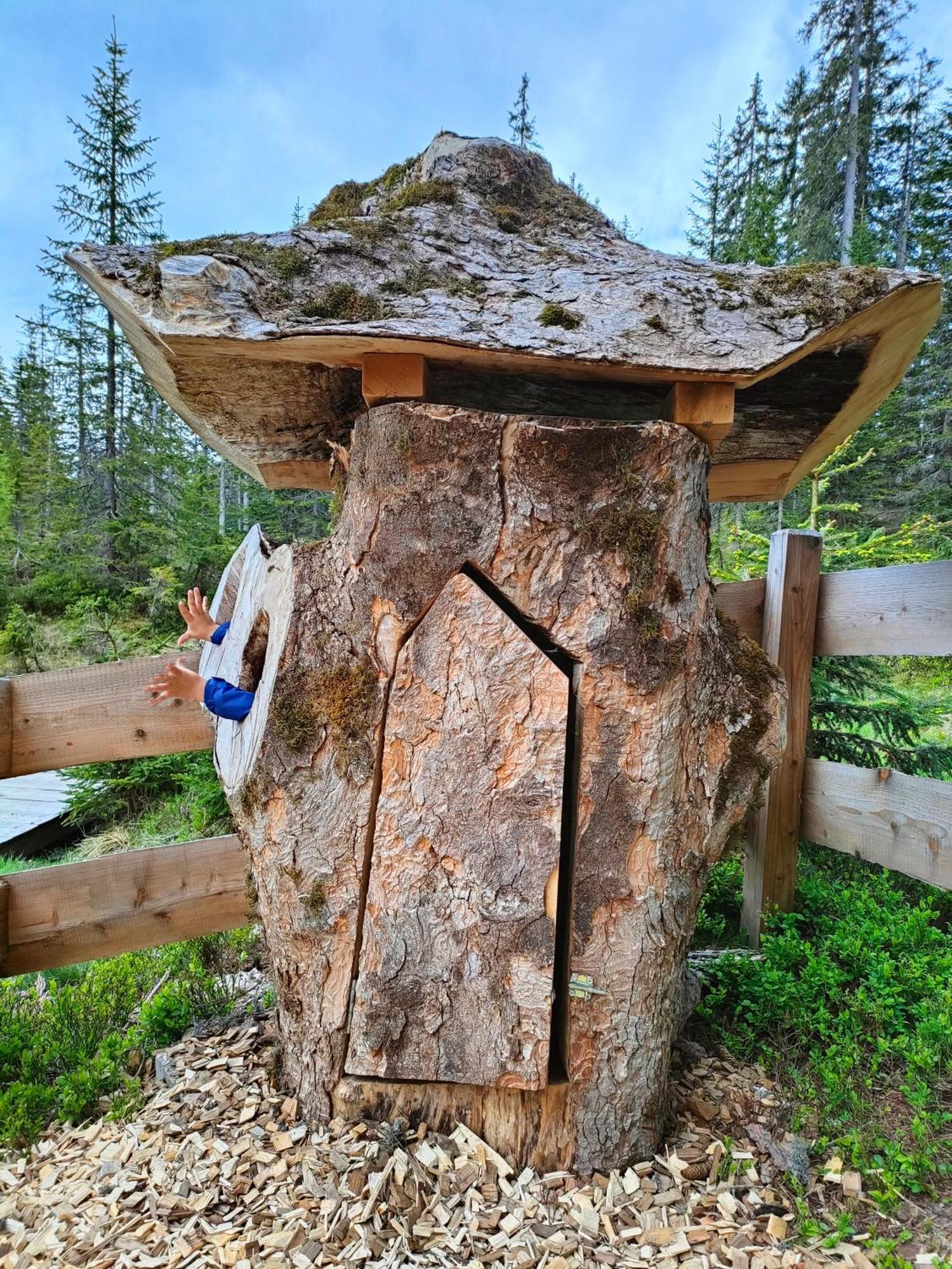 Haus Jakob Filzmoos Exteriör bild